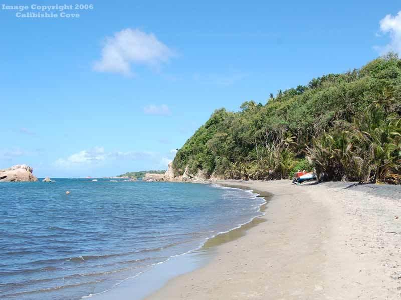 Отель Calibishie Cove Удобства фото