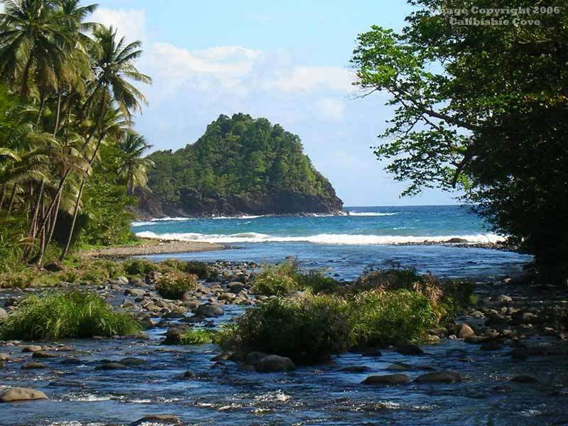 Отель Calibishie Cove Экстерьер фото