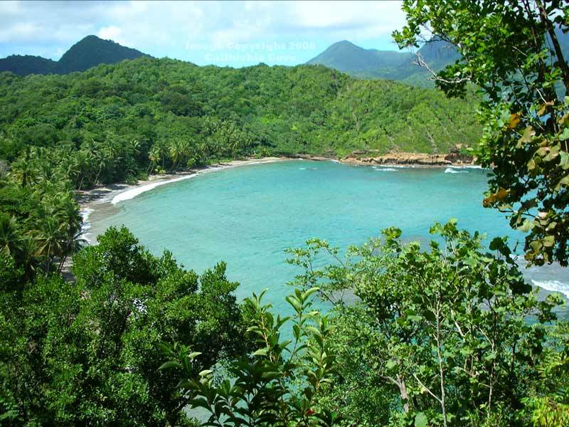 Отель Calibishie Cove Экстерьер фото